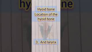 how to study location of the hyoid bone in the human body Structure  hyoid bone in the education [upl. by Faso]