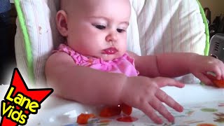 Baby Led Weaning  Day 3  Carrots  TheFunnyrats [upl. by Imoyik]