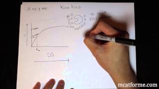 MCAT Biology Lecture Enzyme Kinetics [upl. by Marelda]