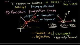 Penicillin production  industrial production [upl. by Carlee]