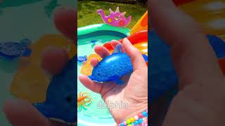 Learn Sea Animal Names  Bounce Toys off Waterslide Blue Shark Walrus Octopus Lobster Dolphin [upl. by Buzzell]