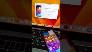 Minacriss Activator A12 Tool  Bypass Premium iOS 17 [upl. by Suiravaj]