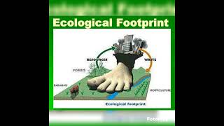 ECOLOGICAL FOOTPRINT Concept 5 EXPLAINED [upl. by Anselmo]