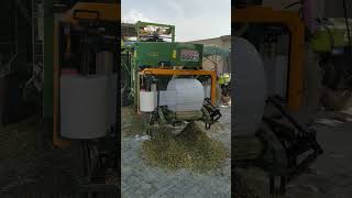 silage making process silage packing [upl. by Ednew]