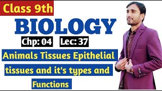 Animals Tissues  Epithelial Tissues amp its types  Functions  9th Bio Chp 4 Lec 37 [upl. by Sukramed141]