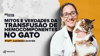 SEMANA DA MEDICINA FELINA  Aula 03 Mitos e Verdades da Transfusão de Hemocomponentes no Gato [upl. by Elleinnad]