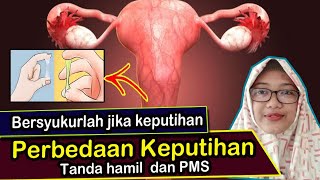 perbedaan keputihan pms dan hamil muda [upl. by Nessah]