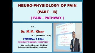 Nervous System9 Pain PhysiologyPartB Pain Pathway  Dr Muslim Khan [upl. by Baruch]