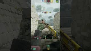 All skins no skin CS2 csgo counterstrikeclips csclip gaming counterstrikehighlight [upl. by Anthiathia]