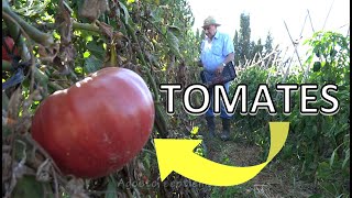 El huerto de Isidro 2 Tomates [upl. by Tonjes]