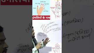 finger हाथ के पांच उंगलियों के नाम Five fingers shorthand  name of fingerstrendingshorts [upl. by Seward]