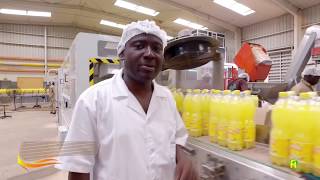 Comment les Boissons Punch du Sénégal sont produites [upl. by Yraeg]