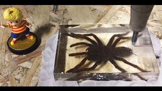 🕷️ Dissecting A Real Tarantula With A 60000 PSI Waterjet Biology Lesson 🕷️ Interesting [upl. by Nebra]