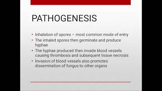 ZYGOMYCOSIS [upl. by Stoll]