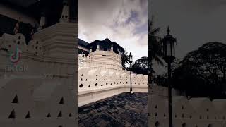 උතුම් ශ්‍රී දළදා මාලිගාව  Kandy  Sri Lanka subscribe adventure travel [upl. by Ainar]