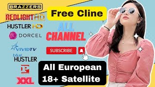 How To Create Free Cccam cline Panel  All Satellite Cline Videocon d2h All HD SD Adult 18 Channel [upl. by Ahsilem]