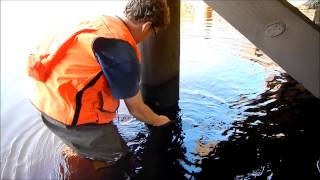 Stress Wave Timer  Timber Bridge Inspection [upl. by Nali]