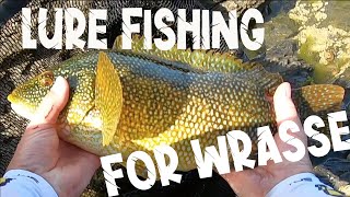 How to Lure Fish for Wrasse  Tackle Rigs amp Lures [upl. by Petuu]