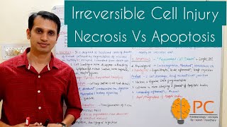 Irreversible Cell Injury or Cell Death Pathology  Necrosis Vs Apoptosis [upl. by Thetos]