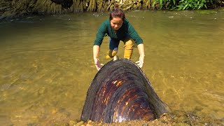 🎁The pearl clams in the river are all starving and eating the big loach raw The beauty is stunned [upl. by Odo]