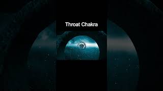 All 7 Chakras in 1 Minute [upl. by Adnyc]