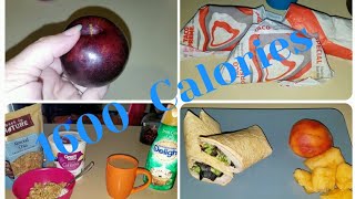 What I eat in a day  1600 calorie diet [upl. by Neyud]