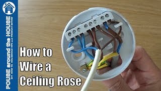 How to wire a ceiling rose  lighting circuits explained Ceiling rose pendant install [upl. by Aaberg]