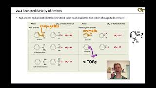 Basicity of Amines [upl. by Nytsyrk]