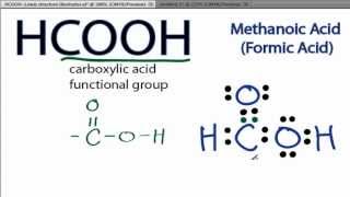 HCOOH Lewis Structure How to Draw the Lewis Structure for HCOOH [upl. by Hege]