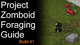 Project Zomboid Foraging Guide Build 41 OLD [upl. by Hands]