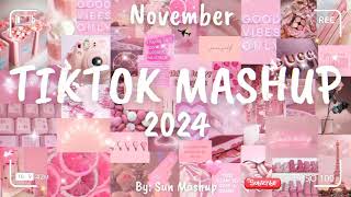 Tiktok Mashup November 🌺🌺2024🌺🌺 Not Clean [upl. by Genevra946]