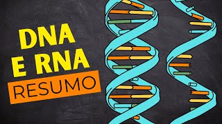 DNA E RNA  PRINCIPAIS informações sobre os ÁCIDOS NUCLEICOS [upl. by Yelnoc]