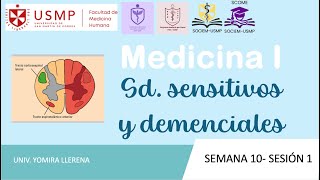 Medicina 1Sesión 14B2 Sd sensitivos y demenciales Yomira Llerena20242 [upl. by Katushka]