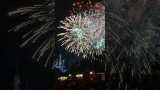 Happily Ever After Fireworks at Magic Kingdom [upl. by Ahtelahs708]