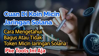 Cara Riset Koin Micin Jaringan Solana [upl. by Airdni]