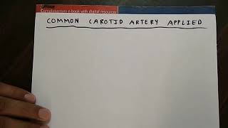 Comman Carotid Artery Applied Anatomy Chassaignac tubercle  TCML [upl. by Olivette]