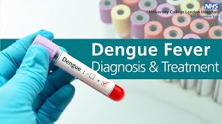 Diagnosis and treatment of dengue fever [upl. by Nonnahc546]