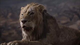 The Lion King 2019 Scars Kingdom  Flemish  Vlaams   Audio Only [upl. by Owiat]