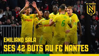 Emiliano Sala  ses 42 buts en championnat au FC Nantes [upl. by Zetana560]