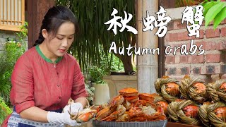 Frost brings rich crab roe—perfect time to enjoy a pot of spicy crabs for a satisfying feast [upl. by Aitel]