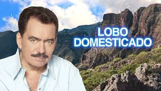 Joan Sebastian – Lobo Domesticado Letra Oficial [upl. by Narbig790]