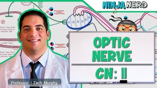 Neurology  Optic Nerve  Cranial Nerve II Visual Pathway and Lesions [upl. by Irot]