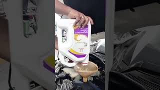 Honda Civic Oil change at autochef automobile lubricantoil engineoil civic carcare oilchange [upl. by Ingamar]