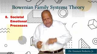 Bowenian Family Systems Theory Lecture [upl. by Irallih]