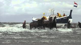 Demonstratie Paardenreddingboot Ameland [upl. by Jacey]