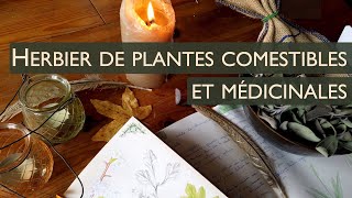 HERBIERS 2  Réaliser un herbier de plantes médicinales et comestibles 🌿 [upl. by Tinor]