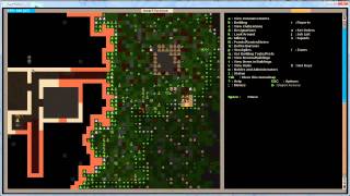 Dwarf Fortress  Tutorial 2011  Getting started within 45 Minutes [upl. by Herrmann77]