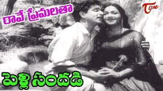 Pelli Sandadi Songs  Raave Naa Premalatha  ANR  Anjali Devi  OldSongsTelugu [upl. by Terrab]