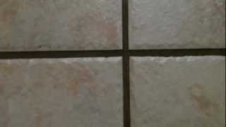 Cleaning Tip How to Clean Tile Grout  Easy best way  no harsh chemicals [upl. by Sueddaht818]