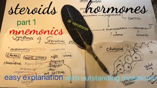 steroids hormones synthesis Mnemonicsdr serotonin [upl. by Kiona]